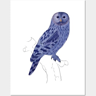 Owl illustration Posters and Art